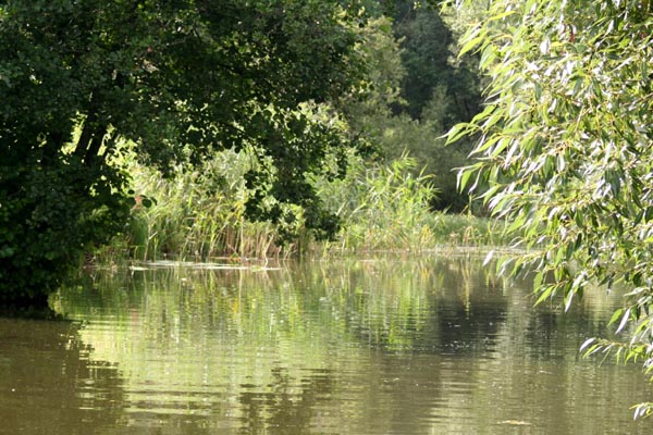 Dahmer Kanal Mecklenburgische Schweiz